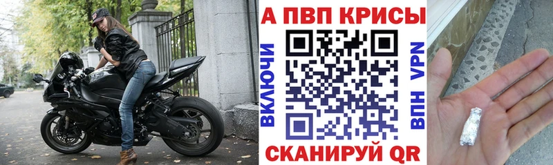 Alpha-PVP мука  закладка  Судогда 